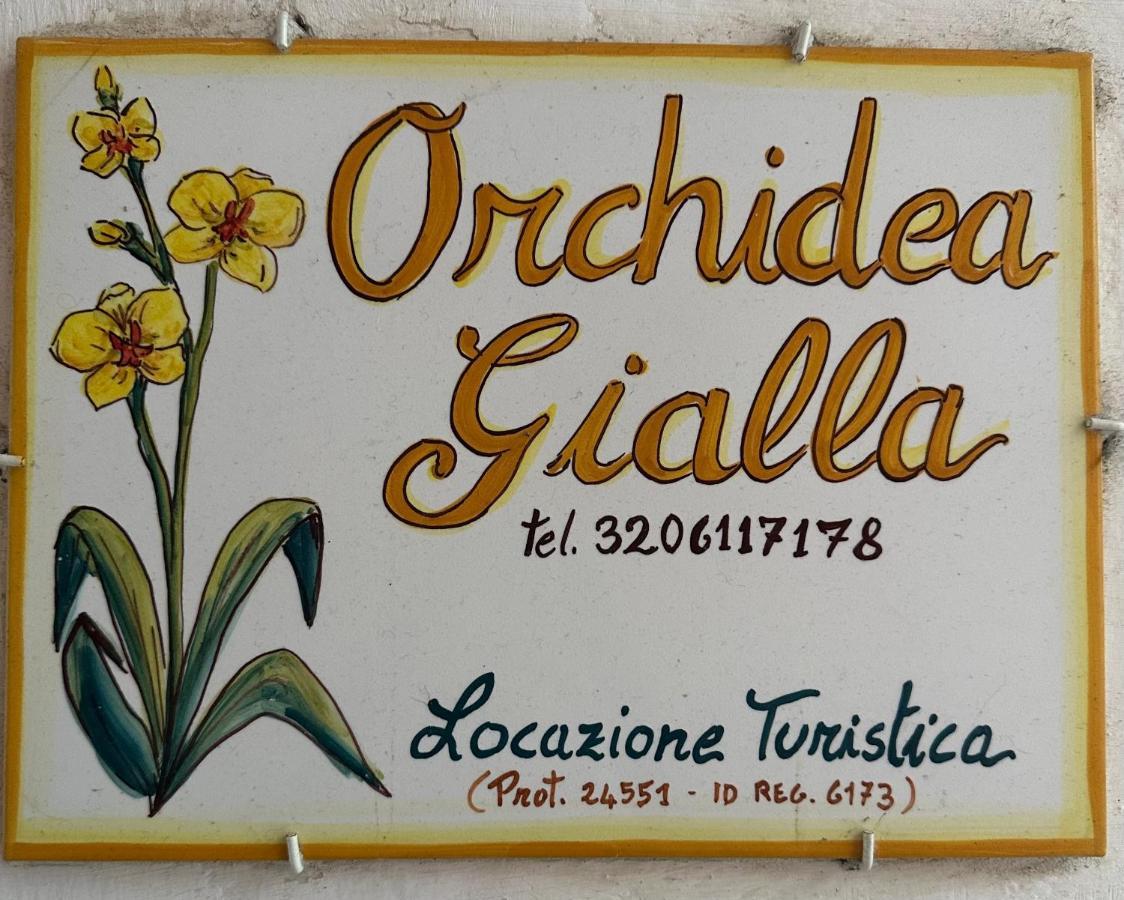 Orchidea Gialla Gaeta Luaran gambar
