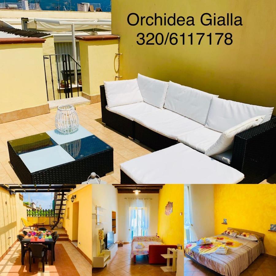 Orchidea Gialla Gaeta Luaran gambar